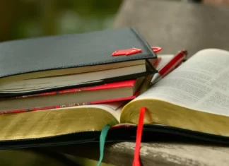 Ударные местоимения во французском языке Ударные местоимения во французском языке | Французский - легко!