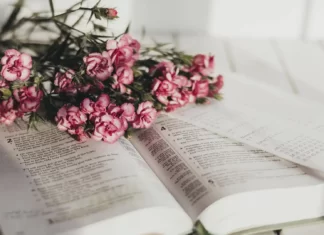 Conditionnel present во французском языке Conditionnel present во французском языке | Французский - легко!