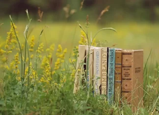 Спряжение глагола avoir во французском языке Спряжение глагола avoir | Французский - легко!